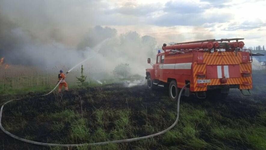 Збитків на десятки мільйонів гривень завдало державі горіння сухостою на Сумщині