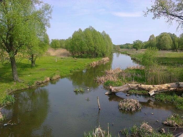Чому обмілів Сейм, фото-2 Чому обмілів Сейм, фото-2