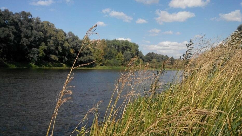 Чому обмілів Сейм, фото-1 Чому обмілів Сейм, фото-1