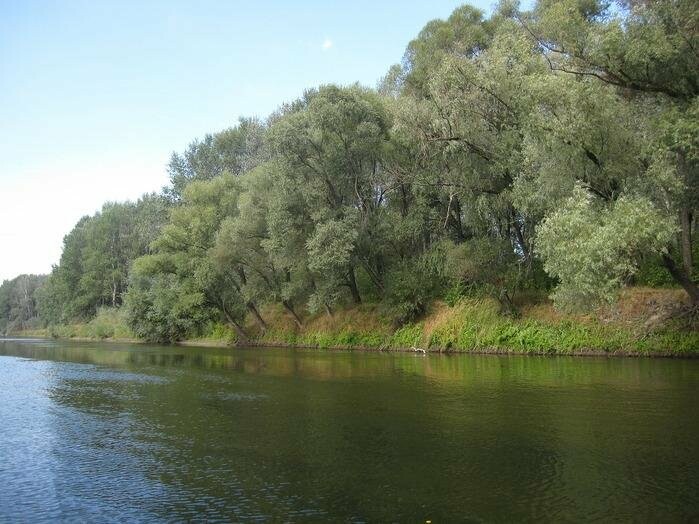 Чому обмілів Сейм, фото-4 Чому обмілів Сейм, фото-4