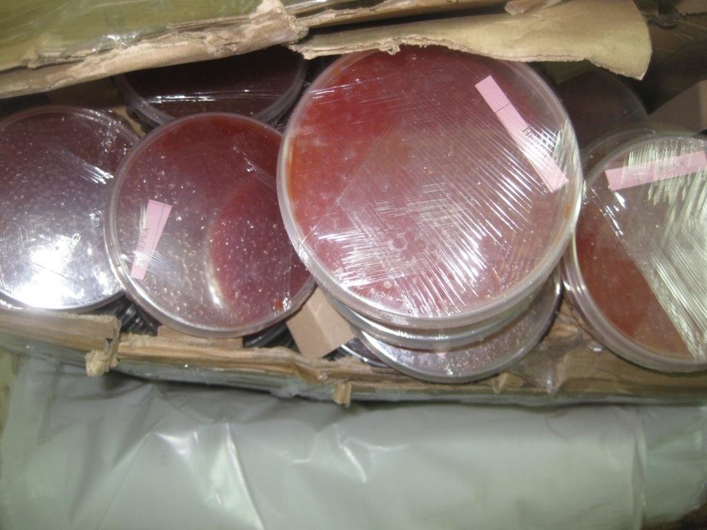 120 кілограм контрабандної ікри та морепродуктів вилучили..., фото-2 120 кілограм контрабандної ікри та морепродуктів вилучили в Конотопі, фото-2