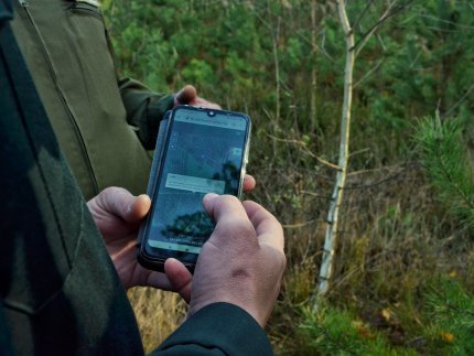 Конотопці можуть перевірити законність рубок лісу Конотопці можуть перевірити законність рубок лісу