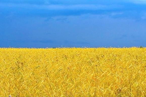 Стало відомо, як у Конотопі відзначатимуть День Незалежності Стало відомо, як у Конотопі відзначатимуть День Незалежності, Анатолій Кияшко