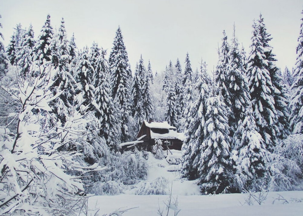 готель для корпоративу в Карпатах